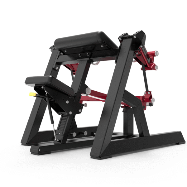 ECP501 - SEATED BICEP - Imagen 2