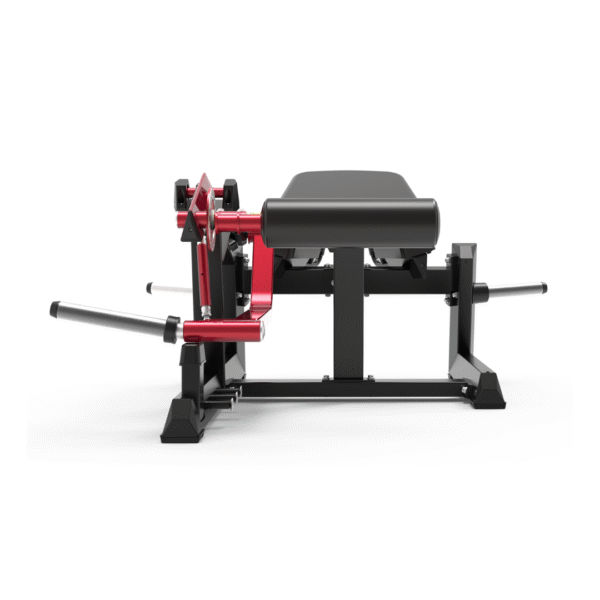 ECP604 - PRONE LEG CURL - Imagen 2