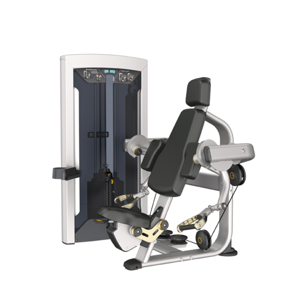 FE9703 - ARM CURL