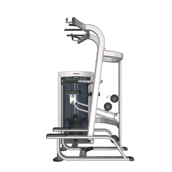 FE9720 - WEIGHT ADDIDTED CHIN/DIP COMBO - Imagen 2