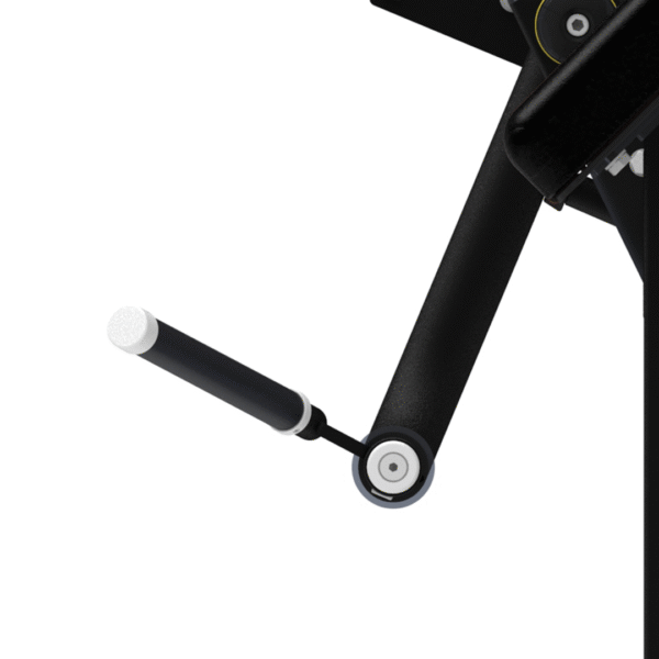 IF9303 - ARM CURL - Imagen 2