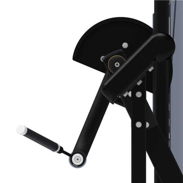IF9303 - ARM CURL - Imagen 3