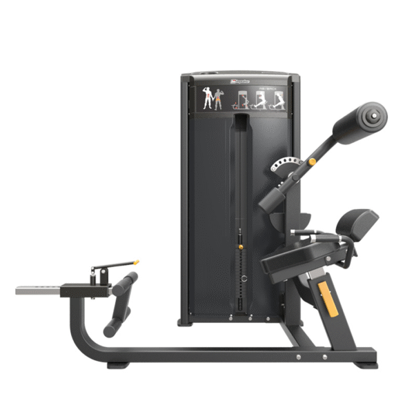 IF9334 – ABDOMINAL / BACK - Imagen 3