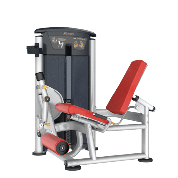 IT9505 - LEG EXTENSION - Imagen 2