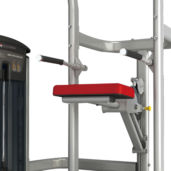 IT9520 - WEIGHT ASSISTED CHINDIP COMBO - Imagen 2