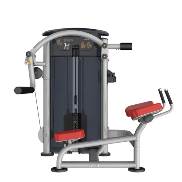 IT9526 - GLUTE - Imagen 2