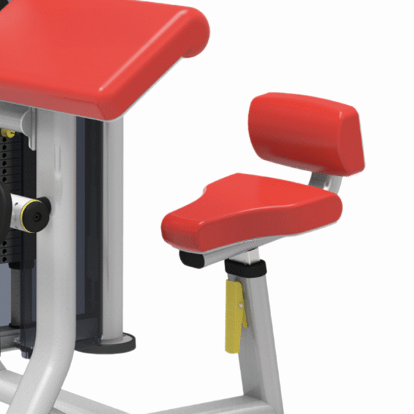 IT9533 - BICEP CURLTRICEP EXTENSION - Imagen 3