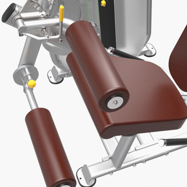 PL9023 - BICEPS / TRICEPS - Imagen 3