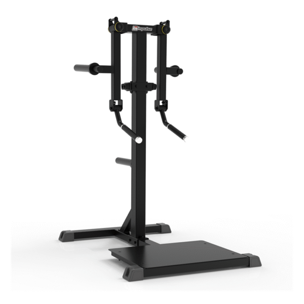 IFP1103 - STANDING LATERAL RAISE - Imagen 2