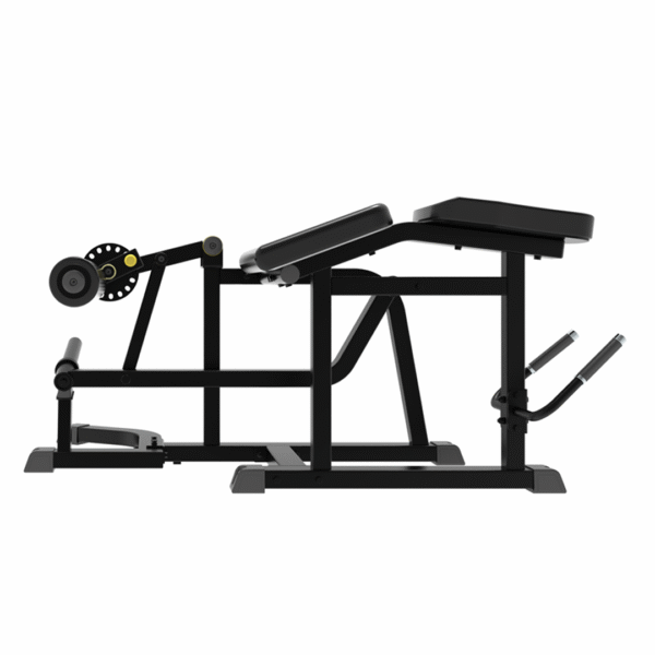 IFP1604 - PRONE LEG CURL - Imagen 2