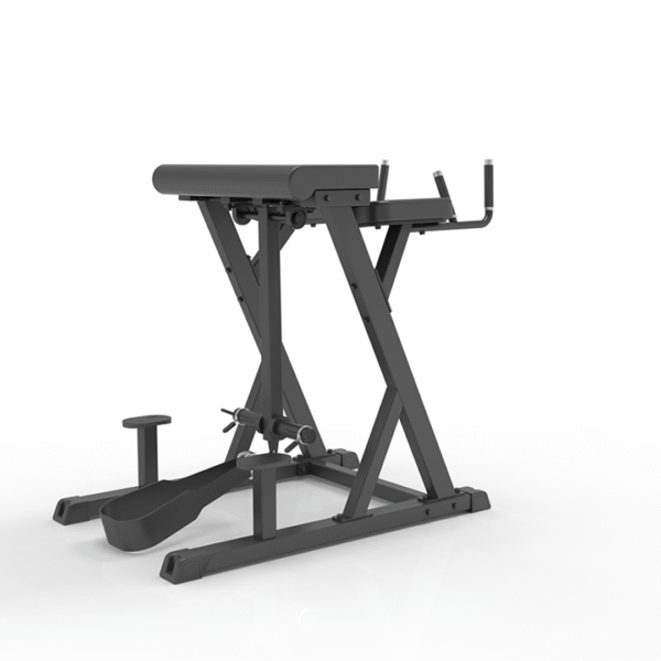 IFP1619 - REVERSE HYPEREXTENSION - Imagen 2