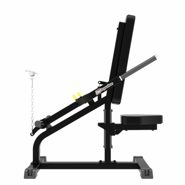 IFP1706 - BICEPS/TRICEPS - Imagen 2