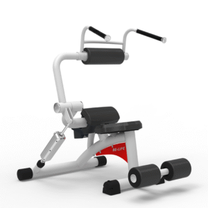 RL8107 - AB CRUNCH / BACK EXTENSION