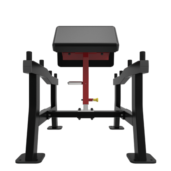 SL7018 - BICEPS CURL - Imagen 3