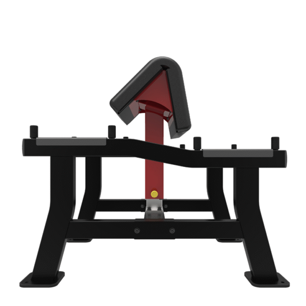 SL7018 - BICEPS CURL - Imagen 2